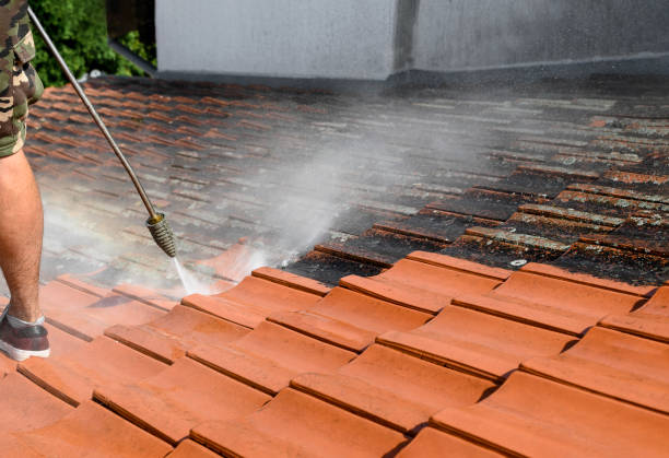 Best Exterior Home Cleaning  in Dawson, GA
