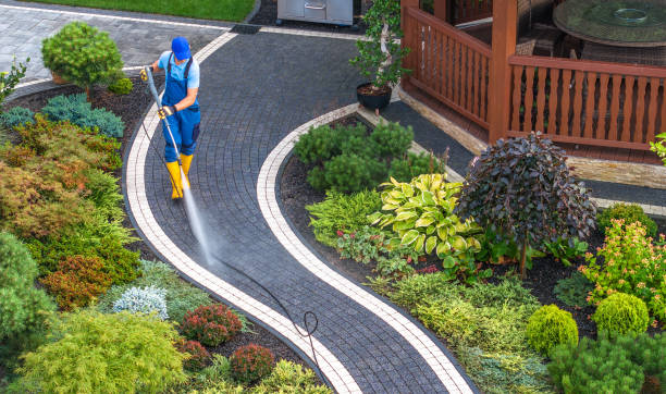 Best Pressure Washing Siding  in Dawson, GA